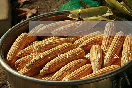 汽车违章停车逾期怎么办理 汽车违章停车逾期怎么办理