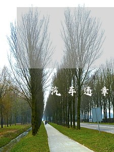 汽车违章罚款逾期了会怎么样 汽车违章罚款逾期了会怎么样