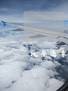 汽车违章罚金逾期会上征信吗 汽车违章罚金逾期会上征信吗