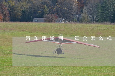 汽车违逾期一年会怎么样 汽车违逾期一年会怎么样