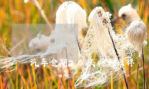 汽车逾期20天会怎么样 汽车逾期20天会怎么样