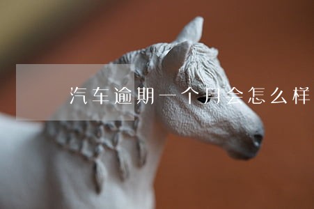 汽车逾期一个月会怎么样贷款