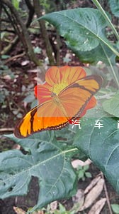 汽车逾期一天违法吗 汽车逾期一天违法吗