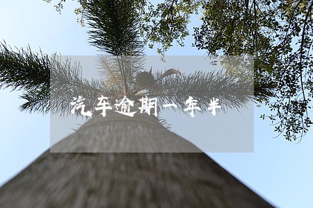 汽车逾期一年半