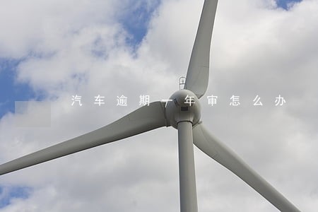 汽车逾期一年审怎么办 汽车逾期一年审怎么办