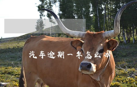 汽车逾期一年怎么办 汽车逾期一年怎么办