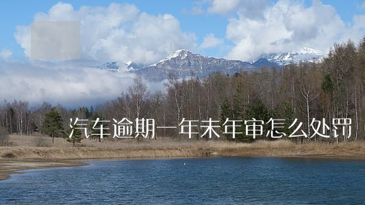 汽车逾期一年未年审怎么处罚 汽车逾期一年未年审怎么处罚