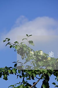 汽车逾期一年没年检会被注销吗 汽车逾期一年没年检会被注销吗