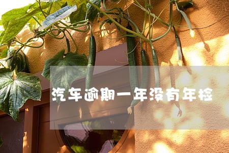 汽车逾期一年没有年检