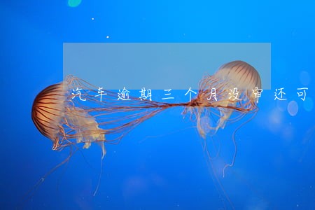 汽车逾期三个月没审还可以审吗 汽车逾期三个月没审还可以审吗