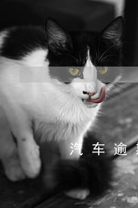汽车逾期三天上征信吗
