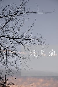 汽车逾期三天会罚款吗 汽车逾期三天会罚款吗