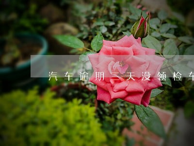 汽车逾期三天没领检车 汽车逾期三天没领检车