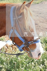 汽车逾期上门家访 汽车逾期上门家访