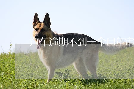 汽车逾期不到一个月年审怎么办 汽车逾期不到一个月年审怎么办