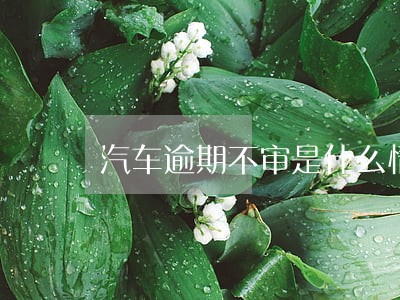汽车逾期不审是什么情况 汽车逾期不审是什么情况