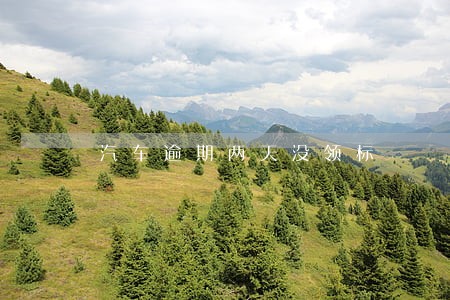 汽车逾期两天没领标 汽车逾期两天没领标