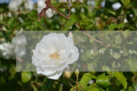 汽车逾期两年未检怎么处理 汽车逾期两年未检怎么处理