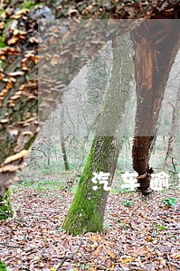 汽车逾期两年没审核 汽车逾期两年没审核