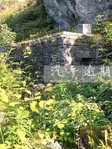 汽车逾期两年还能审车吗 汽车逾期两年还能审车吗