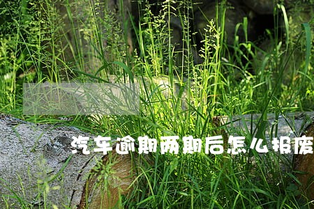 汽车逾期两期后怎么报废申请 汽车逾期两期后怎么报废申请