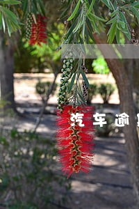 汽车逾期了一个月他要拍卖怎么办 汽车逾期了一个月他要拍卖怎么办
