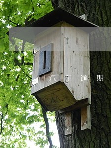 汽车逾期了拖车了怎么办 汽车逾期了拖车了怎么办