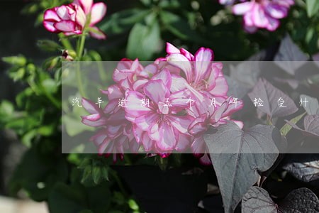 汽车逾期五个月年检受什么处罚 汽车逾期五个月年检受什么处罚