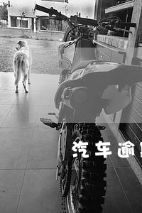 汽车逾期交保险 汽车逾期交保险