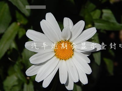 汽车逾期会显示查封吗 汽车逾期会显示查封吗