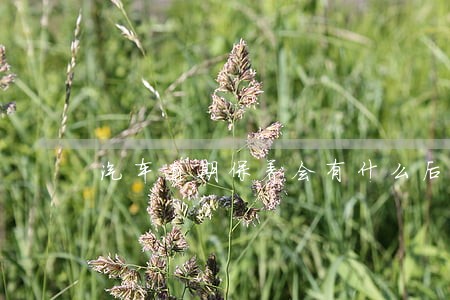 汽车逾期保养会有什么后果 汽车逾期保养会有什么后果