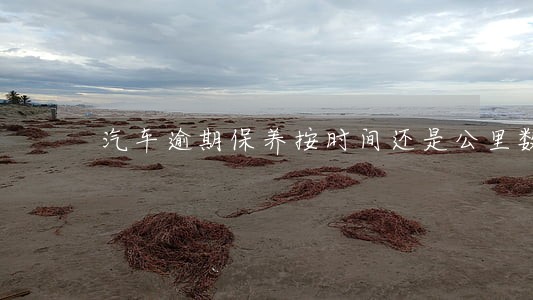 汽车逾期保养按时间还是公里数 汽车逾期保养按时间还是公里数