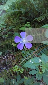 汽车逾期保养没事吧 汽车逾期保养没事吧