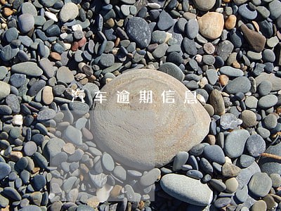 汽车逾期信息 汽车逾期信息