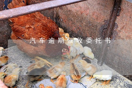 汽车逾期催收委托书 汽车逾期催收委托书