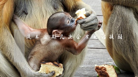 汽车逾期几次会有电话提醒 汽车逾期几次会有电话提醒