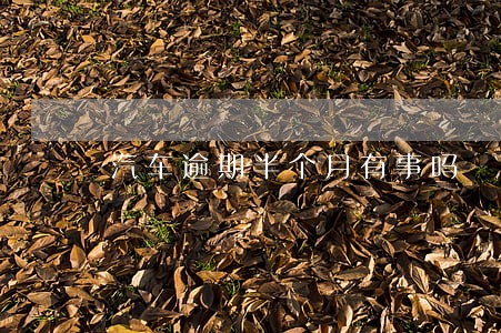 汽车逾期半个月有事吗 汽车逾期半个月有事吗