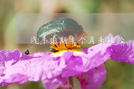 汽车逾期半个月未检验 汽车逾期半个月未检验