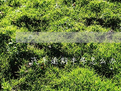 汽车逾期半年怎么办 汽车逾期半年怎么办