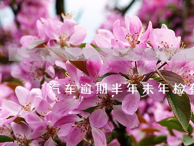汽车逾期半年未年检有宽限期吗 汽车逾期半年未年检有宽限期吗