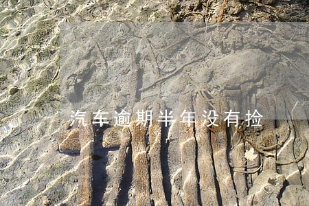 汽车逾期半年没有捡 汽车逾期半年没有捡