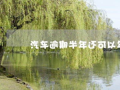 汽车逾期半年还可以年检吗 汽车逾期半年还可以年检吗