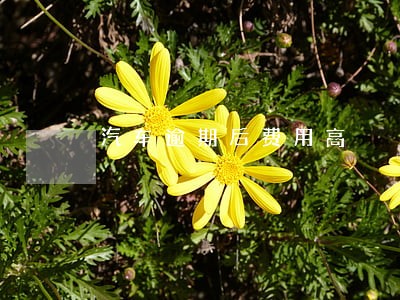 汽车逾期后费用高 汽车逾期后费用高