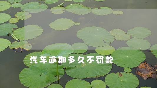 汽车逾期多久不罚款 汽车逾期多久不罚款