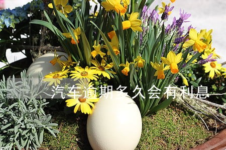 汽车逾期多久会有利息 汽车逾期多久会有利息