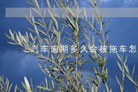 汽车逾期多久会被拖车怎么办 汽车逾期多久会被拖车怎么办