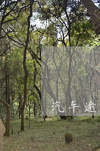汽车逾期多久没年检要罚款 汽车逾期多久没年检要罚款