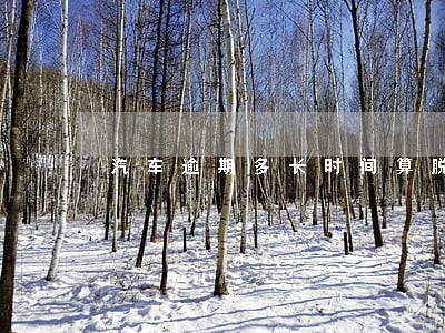 汽车逾期多长时间算脱审 汽车逾期多长时间算脱审