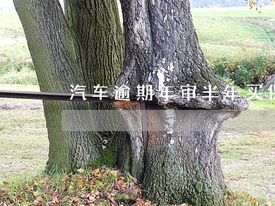 汽车逾期年审半年买保险有影响 汽车逾期年审半年买保险有影响