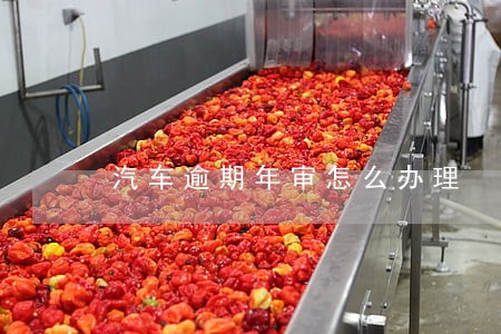 汽车逾期年审怎么办理 汽车逾期年审怎么办理